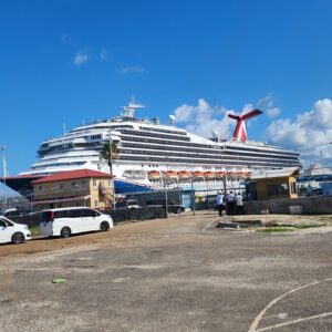 Cruise Shore Excursions
